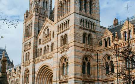 London: Natural History Museum Guided Tour & Priority Entry