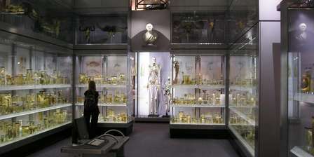 Hunterianské muzeum