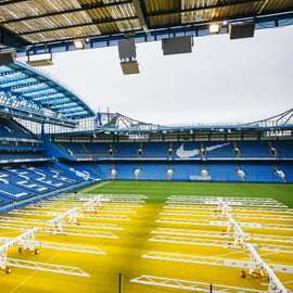 Londyn: zwiedzanie stadionu i muzeum klubu piłkarskiego Chelsea