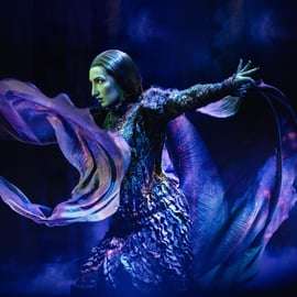 Билет на мюзикл «Злая» в Apollo Victoria, Лондон
