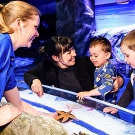 Londres: SEA LIFE Ticket de entrada