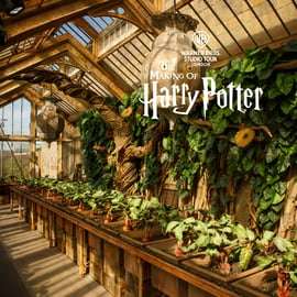 Londýn: Plně vedená prohlídka o natáčení Harryho Pottera