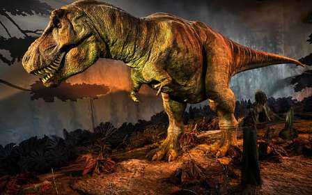 London: Natural History Museum Ancient Monsters Guided Tour