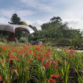 Londres: Ingresso para o Kew Gardens