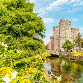 De Londres: Penhascos Brancos de Dover e Canterbury - Viagem de um dia