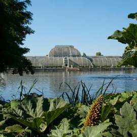 Londres: Ingresso para o Kew Gardens