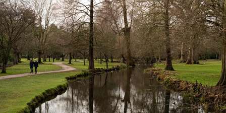 Bushy Park