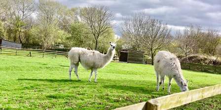Mudchute Park & Farm
