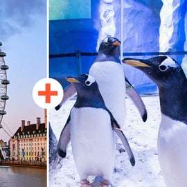 Bilhete combinado SEA LIFE e London Eye em Londres