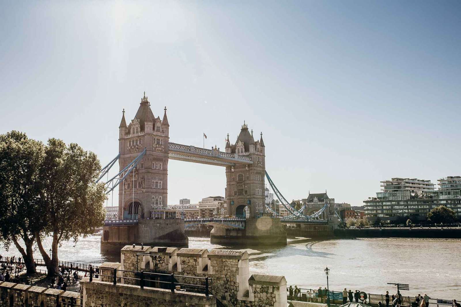 Londres: Excursión definitiva de un día con Torre, Abadía y Crucero