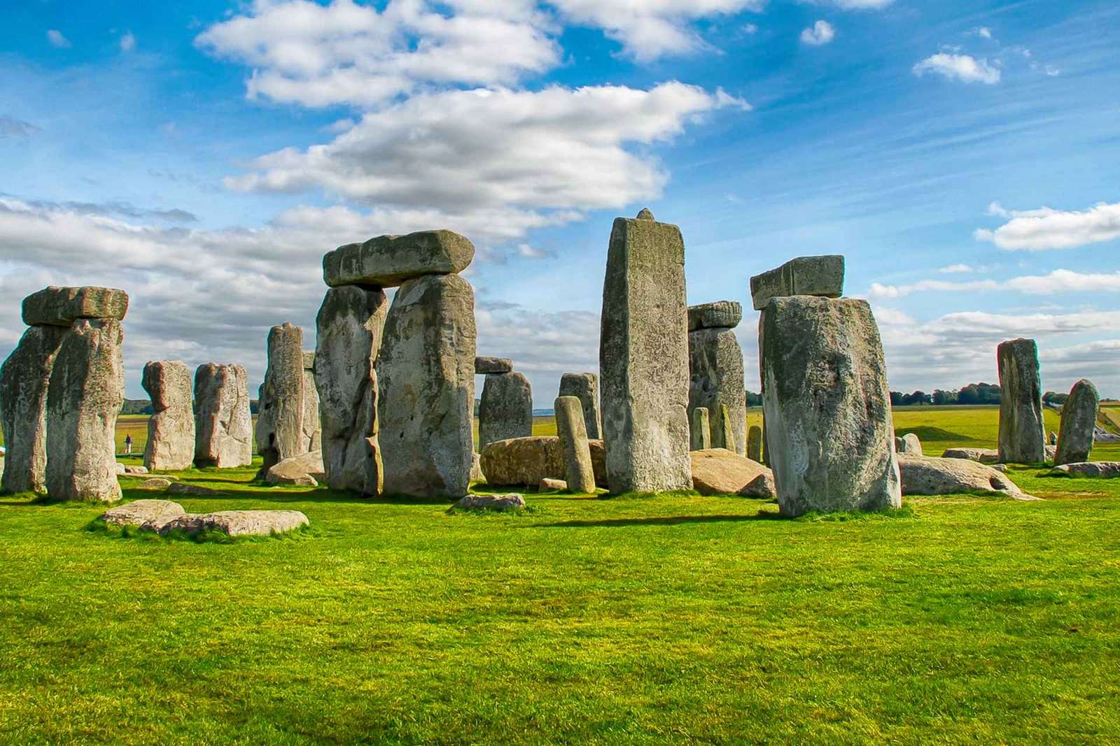 Da Londra: Tour di mezza giornata di Stonehenge