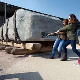 Da Londra: Tour di mezza giornata di Stonehenge