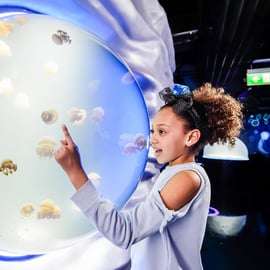Londres: SEA LIFE Ticket de entrada