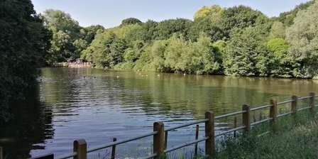 Hampsteadské rybníky