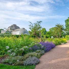Londres: Ingresso para o Kew Gardens