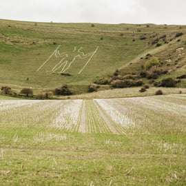 Londres: Viagem de um dia a South Downs White Cliffs com bilhetes de trem