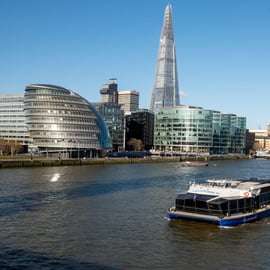 Londres: Excursión definitiva de un día con Torre, Abadía y Crucero