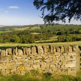 Au départ de Londres : Visite d'une jounée des Cotswolds en petit groupe